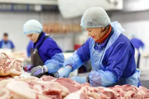 Uitzendkrachten snijden vlees