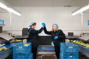 Uitzendkrachten geven elkaar een high-five